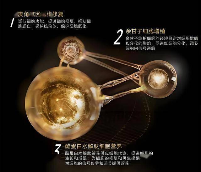 女性职场现状调查报告：郑州女性成高管概率 不足男性1/4